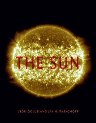 The Sun - Leon Golub, Jay M. Pasachoff