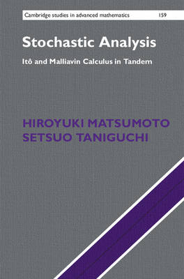 Stochastic Analysis - Hiroyuki Matsumoto, Setsuo Taniguchi