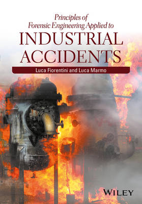 Principles of Forensic Engineering Applied to Industrial Accidents - Luca Fiorentini, Luca Marmo