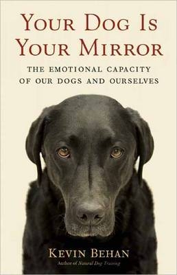 Your Dog is Your Mirror - Kevin Behan