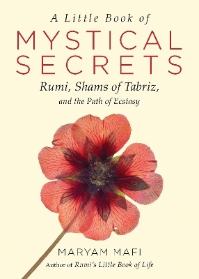 A Little Book of Mystical Secrets - Maryam Mafi