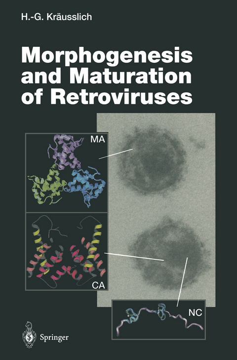 Morphogenesis and Maturation of Retroviruses - 