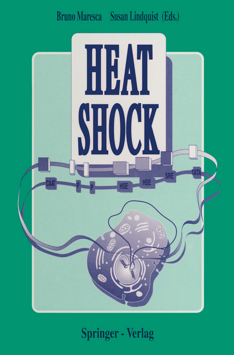 Heat Shock - 