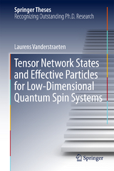 Tensor Network States and Effective Particles for Low-Dimensional Quantum Spin Systems - Laurens Vanderstraeten