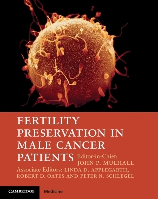 Fertility Preservation in Male Cancer Patients - 