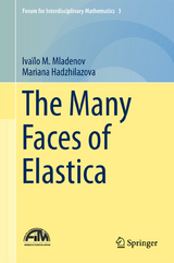 The Many Faces of Elastica - Ivaïlo M. Mladenov, Mariana Hadzhilazova