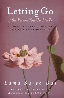 Letting Go Of The Person You Used To Be - Surya Das