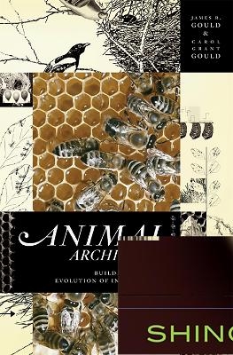 Animal Architects - Carol Gould, James Gould