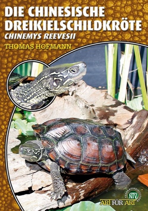 Die Chinesische Dreikielschildkröte - Thomas Hofmann