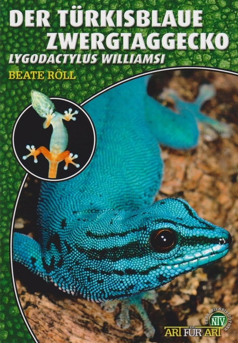 Der Türkisblaue Zwergtaggecko - Beate Röll