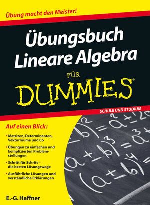 Übungsbuch Lineare Algebra für Dummies - E.-G. Haffner