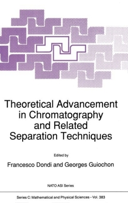 Theoretical Advancement in Chromatography and Related Separation Techniques - Francesco Dondi, Georges Guiochon