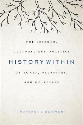 History Within - Marianne Sommer