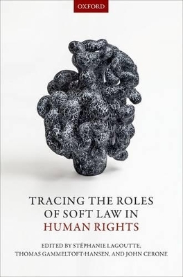 Tracing the Roles of Soft Law in Human Rights - 