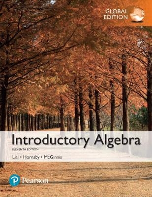 Introductory Algebra - Margaret Lial, John Hornsby, Terry McGinnis