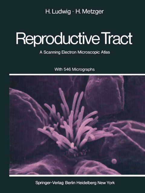 The Human Female Reproductive Tract - H. Ludwig, H. Metzger