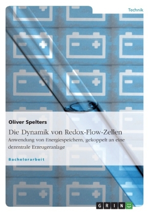 Die Dynamik von Redox-Flow-Zellen - Oliver Spelters