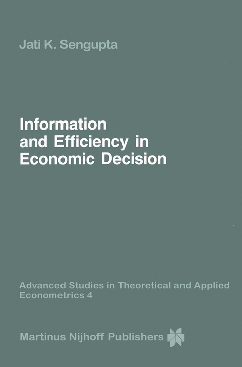 Information and Efficiency in Economic Decision - Jati Sengupta