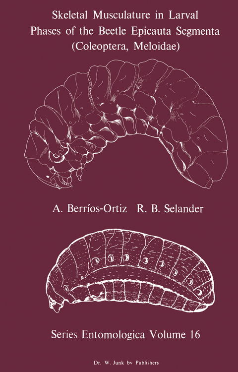 Skeletal Musculature in Larval Phases of the Beetle Epicauta Segmenta (Coleoptera, Meloidae) - A. Berrios-Ortiz, R.B. Selander