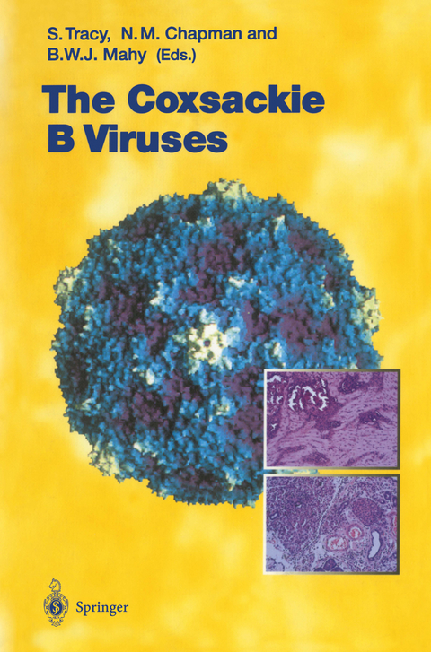 The Coxsackie B Viruses - 