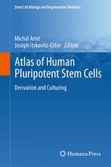 Atlas of Human Pluripotent Stem Cells - 