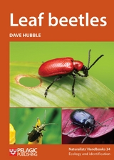 Leaf beetles -  Dave Hubble