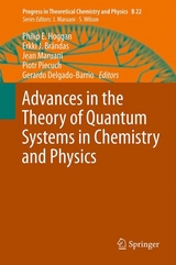 Advances in the Theory of Quantum Systems in Chemistry and Physics - 