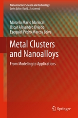 Metal Clusters and Nanoalloys -  Ezequiel Pedro Marcos Leiva,  Marcelo Mario Mariscal,  Oscar Alejandro Oviedo