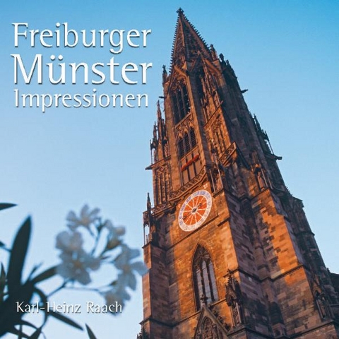 FREIBURGER MÜNSTER IMPRESSIONEN - Heike Mittmann