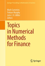 Topics in Numerical Methods for Finance - 