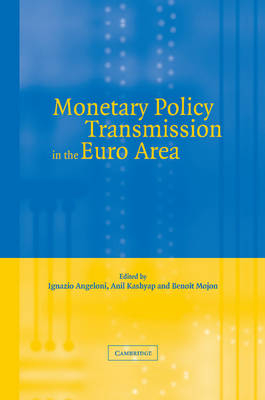 Monetary Policy Transmission in the Euro Area - 