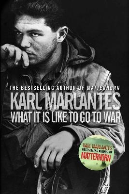 What It Is Like To Go To War - Karl Marlantes