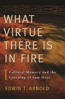 What Virtue There Is In Fire - Edwin T. Arnold