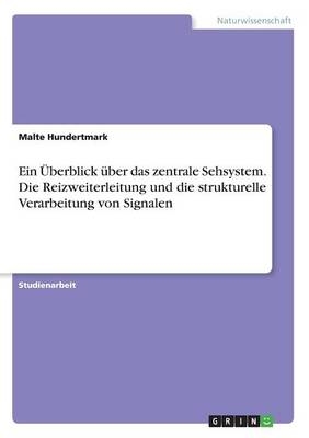 Ein Überblick über das zentrale Sehsystem. Die Reizweiterleitung und die strukturelle Verarbeitung von Signalen - Malte Hundertmark