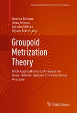 Groupoid Metrization Theory -  Dorina Mitrea,  Irina Mitrea,  Marius Mitrea,  Sylvie Monniaux