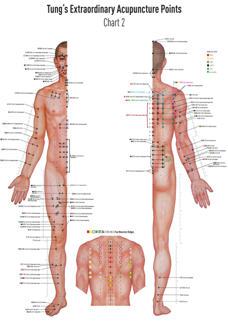 Chart 2 TUNG's Extraordinary Acupuncture Points on the regular channels - David Koppensteiner