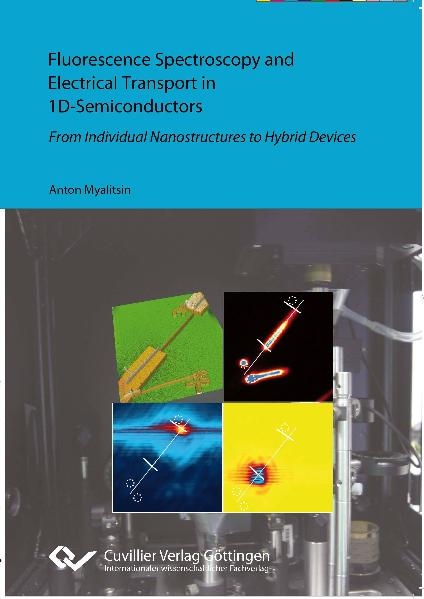 Fluorescence Spectroscopy and Electrical Transport in 1D-Semiconductors - Anton Myalitsin