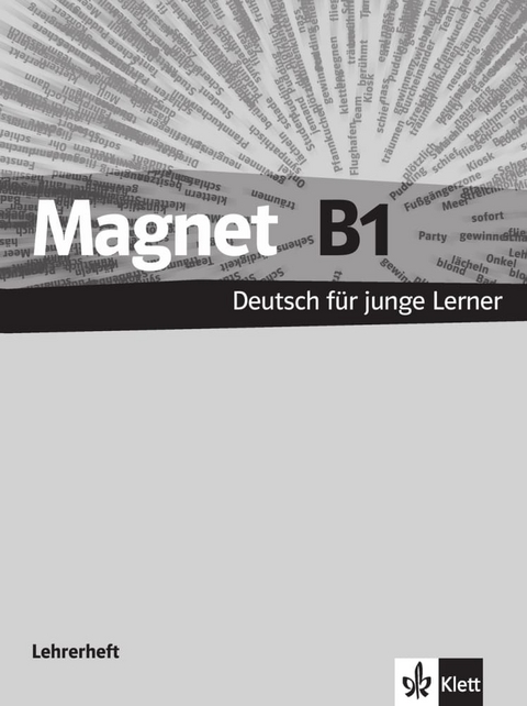 Magnet B1