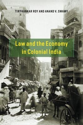 Law and the Economy in Colonial India - Tirthankar Roy, Anand V. Swamy