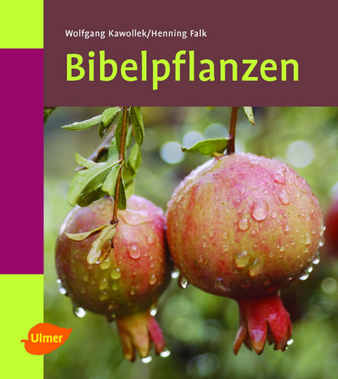 Bibelpflanzen - Wolfgang Kawollek, Henning Falk