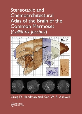 Stereotaxic and Chemoarchitectural Atlas of the Brain of the Common Marmoset (Callithrix jacchus) - Craig D. Hardman, Ken W. S. Ashwell