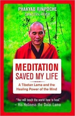 Meditation Saved My Life - Phakyab Rinpoche, Sofia Stril-Rever