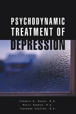 Psychodynamic Treatment of Depression - Fredric N. Busch, Marie Rudden, Theodore Shapiro