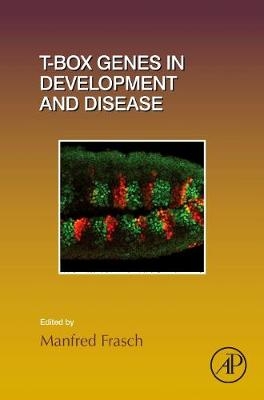 T-box Genes in Development and Disease - 