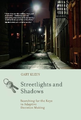 Streetlights and Shadows - Gary A. Klein