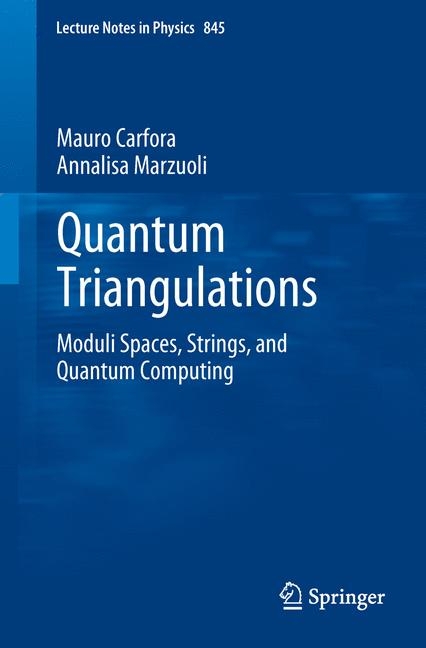 Quantum Triangulations - Mauro Carfora, Annalisa Marzuoli