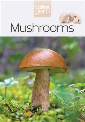 Mushrooms - Patrick Harding