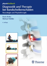 Diagnostik und Therapie bei Bandscheibenschäden - Doris Brötz, Michael Weller