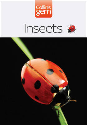 Insects - Michael Chinery