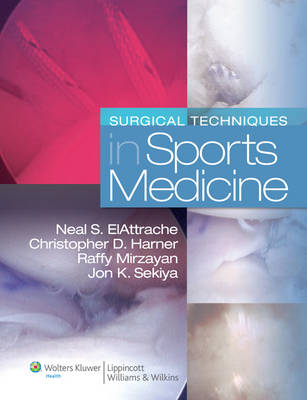 Surgical Techniques in Sports Medicine - 